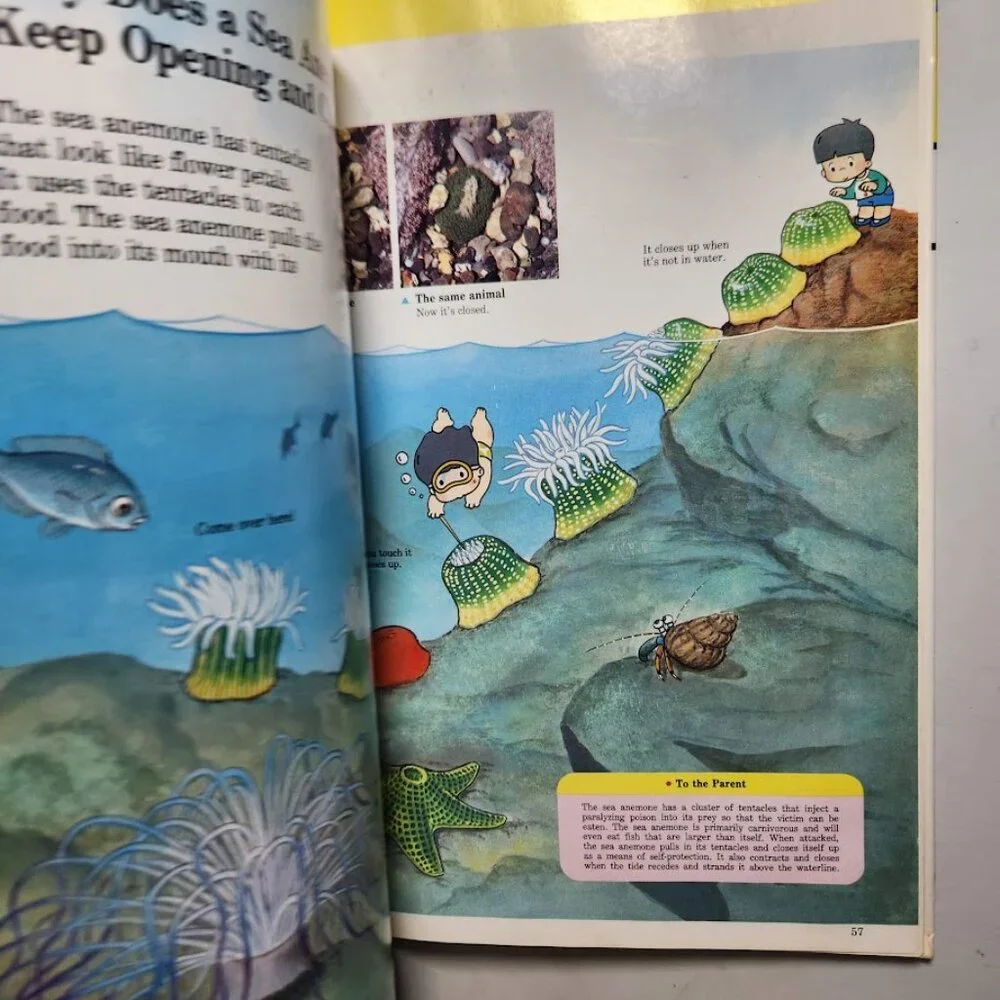 Life in the Water Child's First Library of Learning Science Stem Book Homeschool